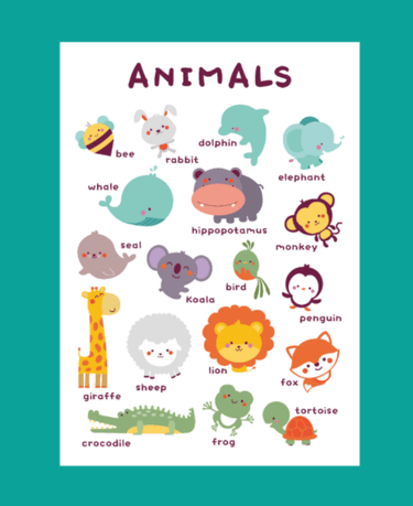 Alphabet | Animal | Vehicle Learning Print Poster - Kids Room Decor | Nursery Wall Decor (285mm x 420mm) - Taylorson