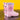 dinosaur-kids-gumboots-1-6-years-blue-or-purple-4 - Taylorson