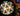 kaleidoscope-rain-forest-new-edition--3 - Taylorson