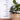 Kids Growth Height Ruler Chart - Standard - Taylorson