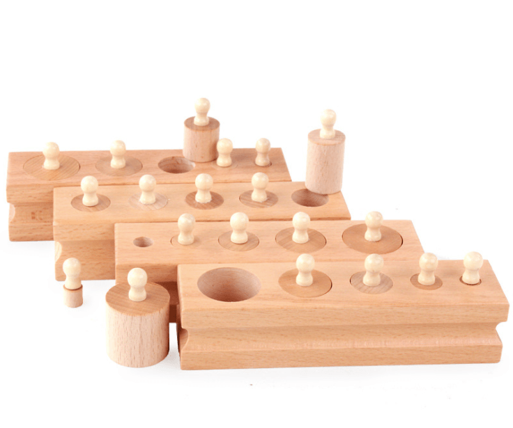 Montessori Toys - Cylinder Blocks Wooden Sorting Toy (4 Cylinders Pack) - Taylorson