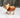 wooden-farm-animals-and-wild-animals-toy-set-lion-giraffe-elephant-hippo-horse-cow-crocodile-gorilla-6 - Taylorson