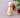 Wooden Peg Dolls - Girls & Boys (33mm, 43mm, 53mm, 66mm) - Taylorson