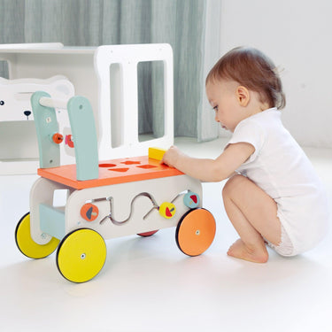 Baby Walker - Shop at Taylorson