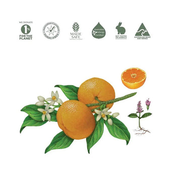 Koala Eco Natural Floor Cleaner Mandarin & Peppermint Essential Oil - 1L Refill *Pre-Order