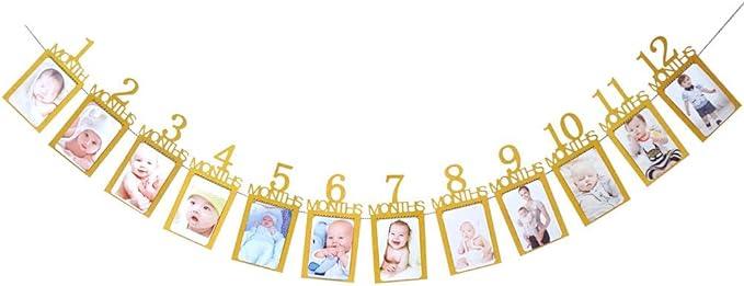 1st Birthday Monthly Milestone Photo Banner - DIY 12 Month Celebration Banner - Taylorson