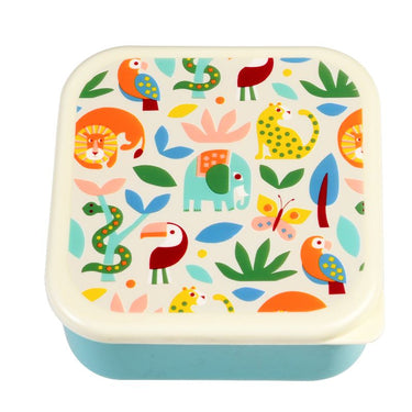 Wild Wonders Snack Boxes (Set of 3)