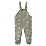 Kids Waterproof Rainwear Overalls - Florals in Green (2-8 years)