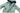Kids Waterproof Rainwear Jacket - Pirate Ship (2-8 years)