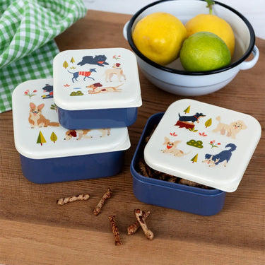 Rex London: Snack Boxes - Dog Park (Set of 3)