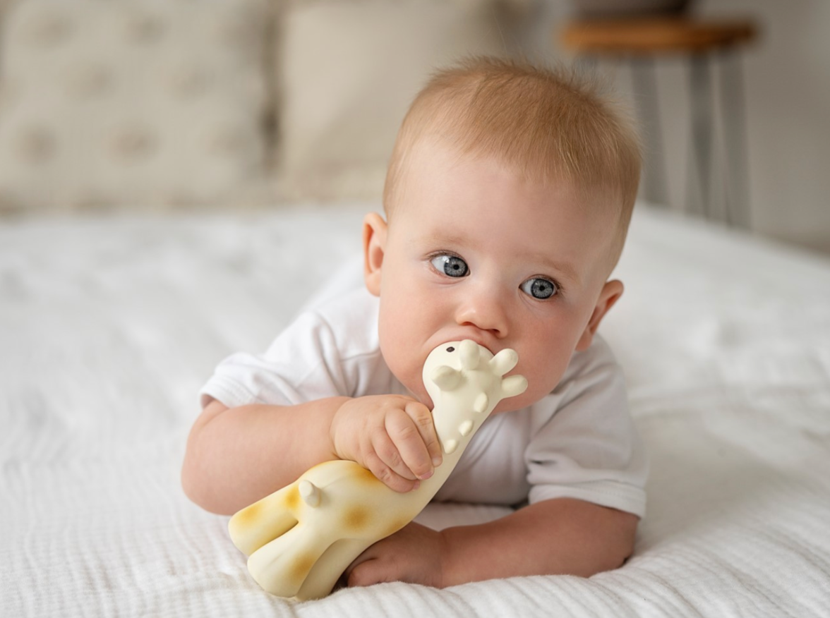 Giraffe - Organic Baby Teether Rattle & Bath Toy - Taylorson