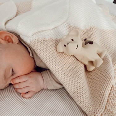 My First Farm Natural Rubber Teether and Rattle Toy - Dog