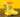 Kids Gumboots (1-6 years) - Dinosaur in Yellow - Taylorson