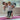 Kinderfeets Bamboo Balance Disc - Taylorson