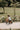 Kinderfeets Tiny Tot Plus Trike/Balance Bike - Bamboo - Taylorson