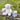 Little Linen Farmyard Dog Plush Toy & Washers Gift Set - Taylorson