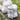Little Linen Farmyard Dog Plush Toy & Washers Gift Set - Taylorson