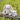 Little Linen Harvest Bunny Plush Toy & Washers Gift Set - Taylorson