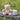 Little Linen Nectar Bear Plush Toy & Washers Gift Set - Taylorson