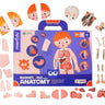 magnetic-pad-human-anatomy-1 - Taylorson