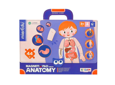 magnetic-pad-human-anatomy-2 - Taylorson