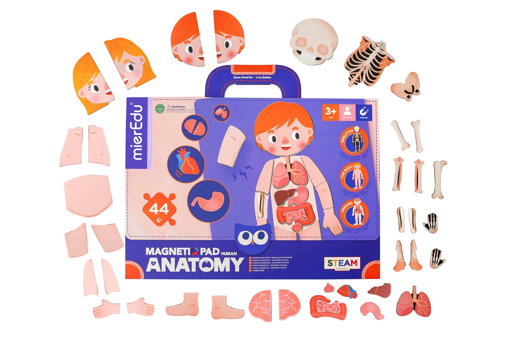 Magnetic Pad-Human Anatomy