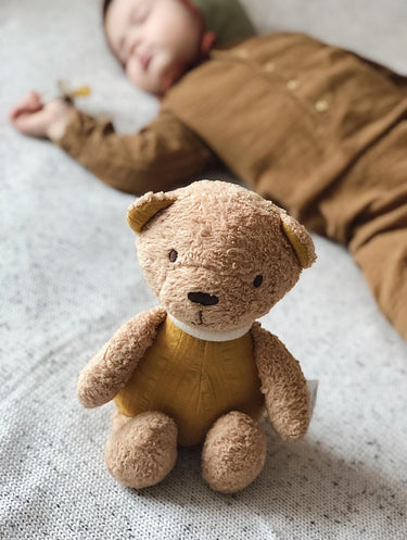Organic Baby Bear Plush Toy with Muslin Body 30cm - Taylorson