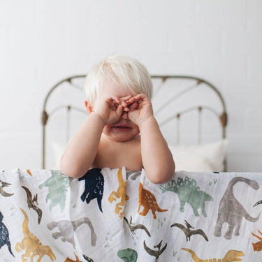 Single Cotton Muslin Swaddle - Dino Friends - Taylorson