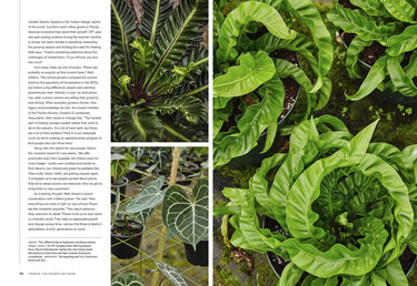 Terrain The House Plant Book by Melissa Lowrie and the Terrain Plant Team - Taylorson
