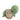 Turtle - Natural Rubber Organic Baby Rattle & Bath Toy - Taylorson