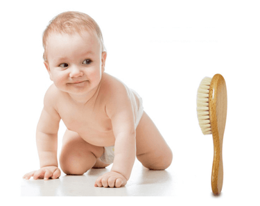 Goat Wool Baby Hair Brush with Wooden Handle - Taylorson