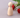 Wooden Peg Dolls - Girls & Boys (33mm, 43mm, 53mm, 66mm) - Taylorson